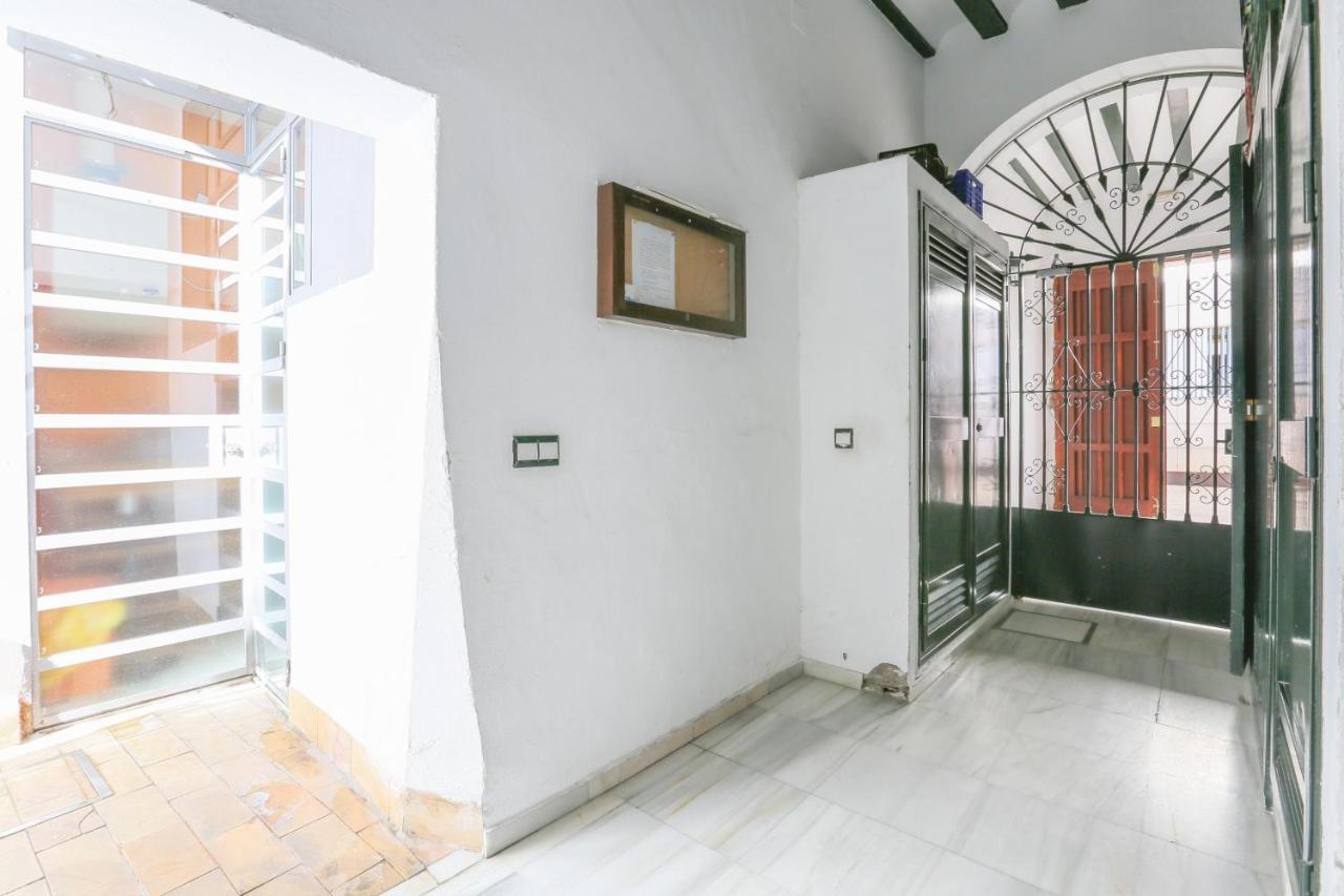 Apartament Alameda De Hercules (adults Only) *